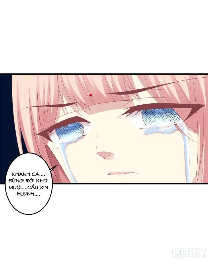 Dụ Hoặc Miêu Yêu Chapter 141 - 19