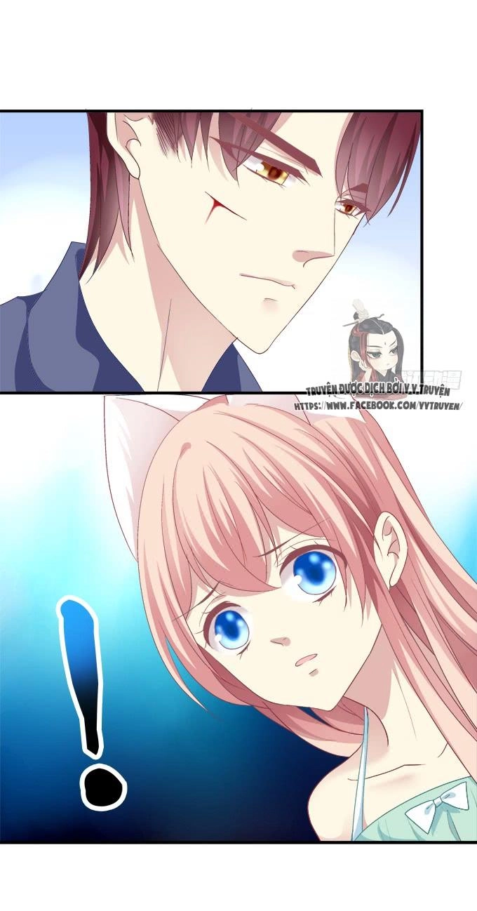 Dụ Hoặc Miêu Yêu Chapter 151 - 3