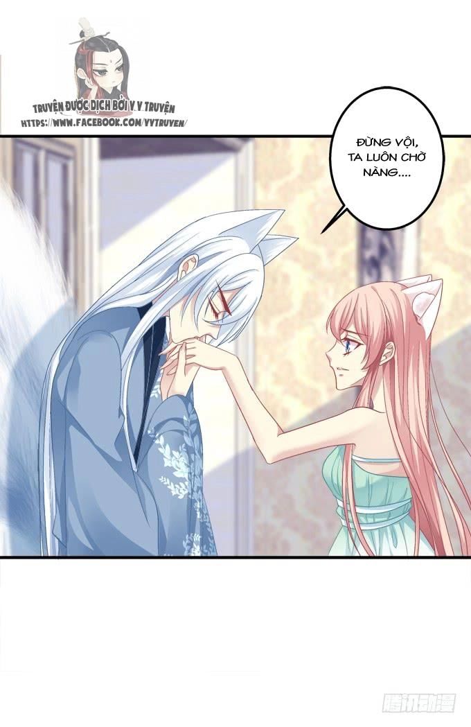 Dụ Hoặc Miêu Yêu Chapter 151 - 19