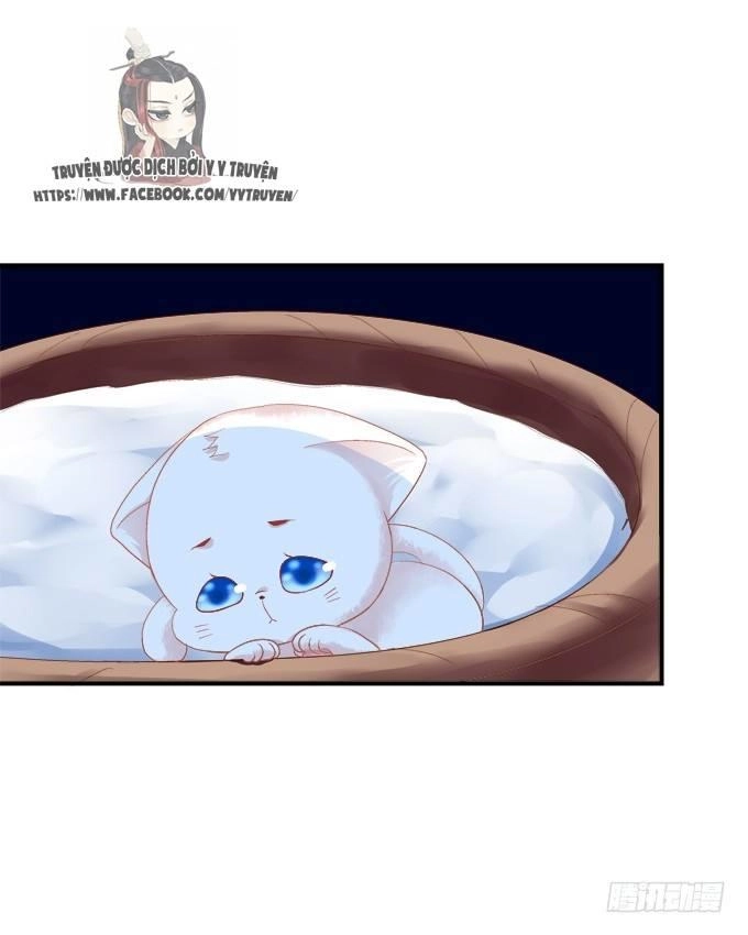 Dụ Hoặc Miêu Yêu Chapter 153 - 23