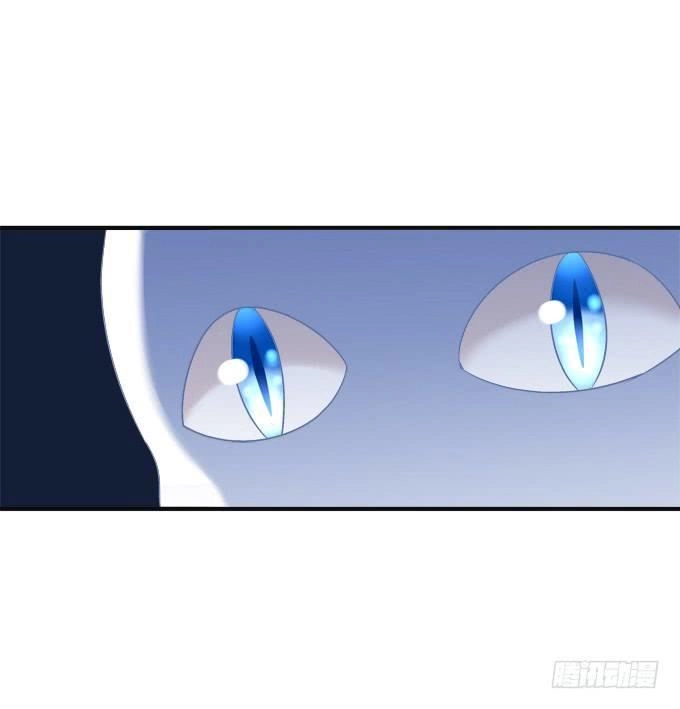 Dụ Hoặc Miêu Yêu Chapter 160 - 22