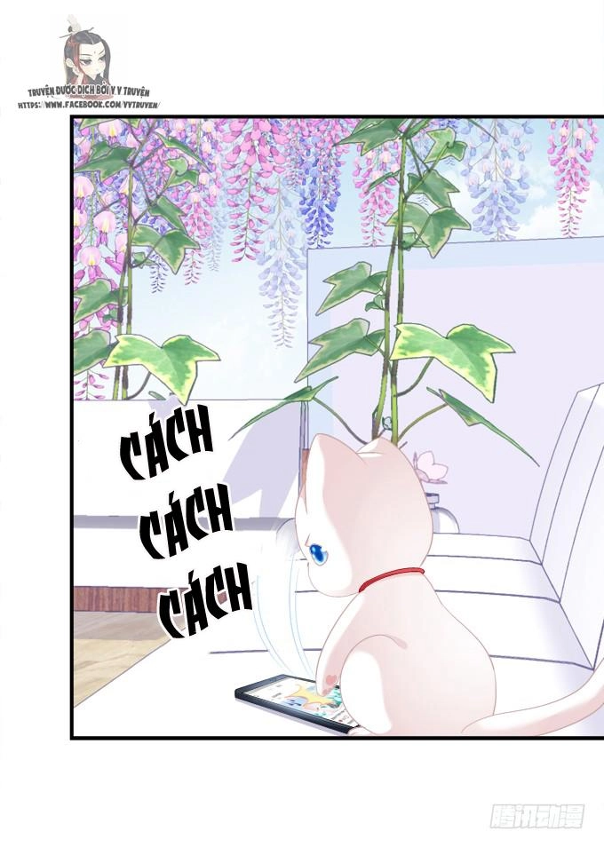 Dụ Hoặc Miêu Yêu Chapter 170 - 12