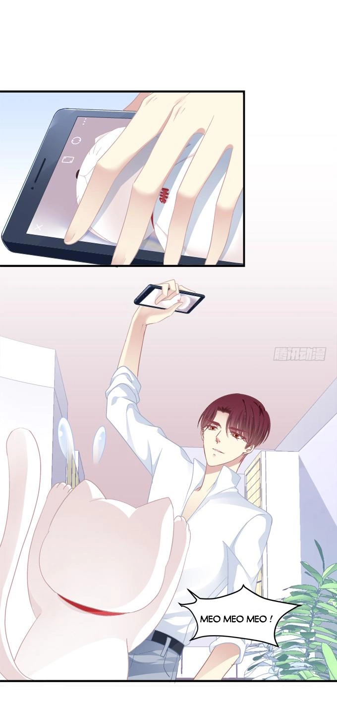 Dụ Hoặc Miêu Yêu Chapter 170 - 23