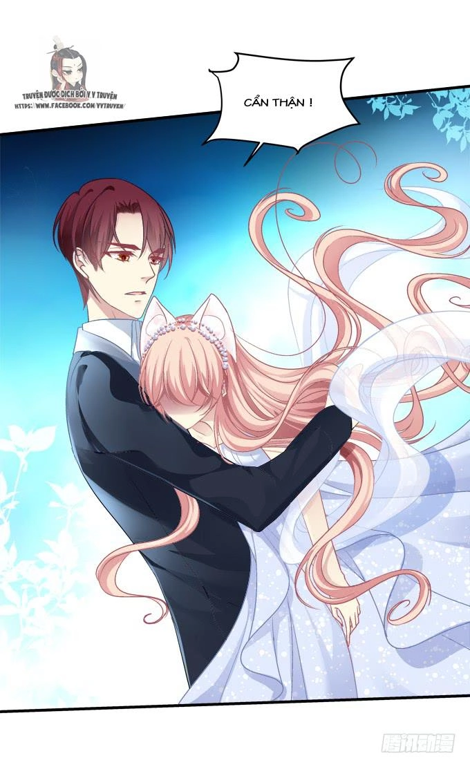 Dụ Hoặc Miêu Yêu Chapter 178 - 26