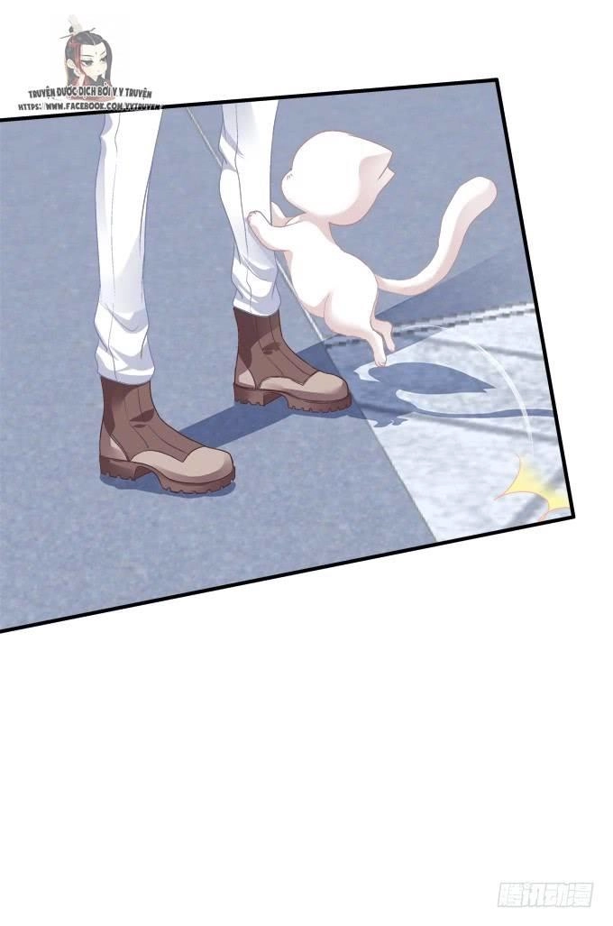 Dụ Hoặc Miêu Yêu Chapter 195 - 8