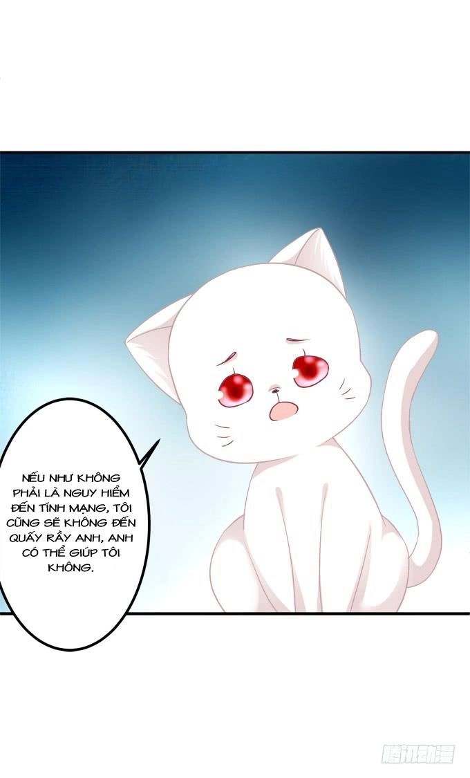 Dụ Hoặc Miêu Yêu Chapter 195 - 29