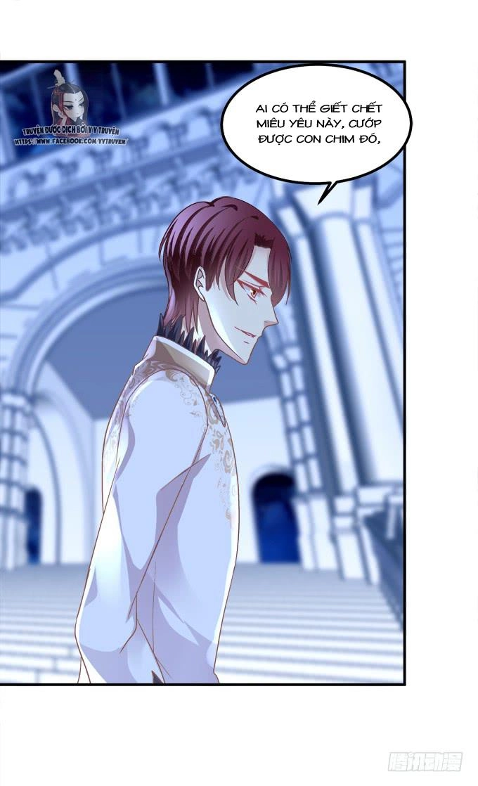 Dụ Hoặc Miêu Yêu Chapter 205 - 37