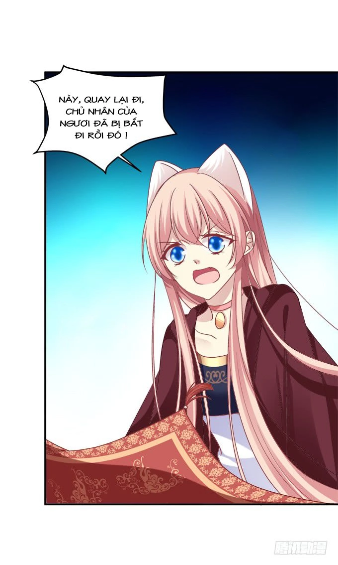 Dụ Hoặc Miêu Yêu Chapter 206 - 24