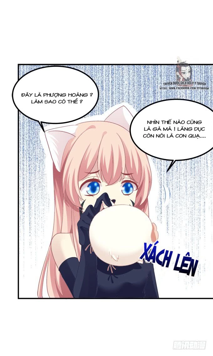 Dụ Hoặc Miêu Yêu Chapter 208 - 16