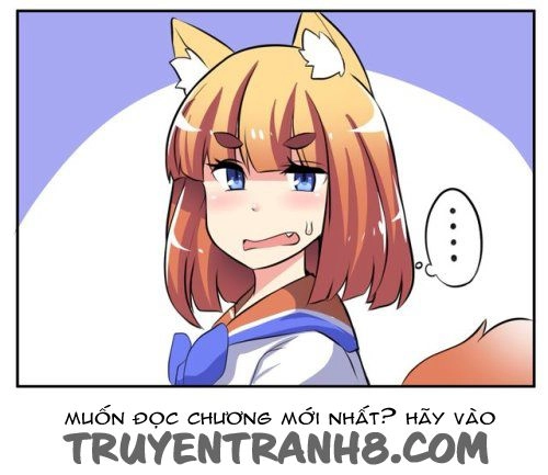 Internet Explorer Chapter 7 - 4