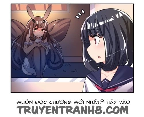 Internet Explorer Chapter 23.5 - 13