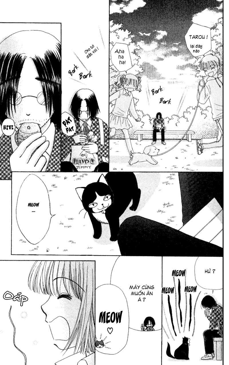 Dự Án Kéo Vàng Chapter 7 - 28