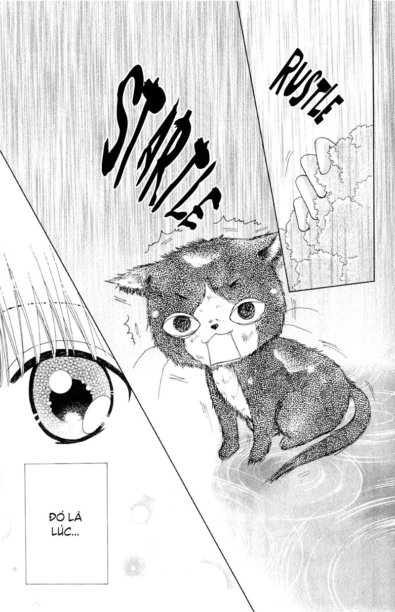 Dự Án Kéo Vàng Chapter 11 - 46