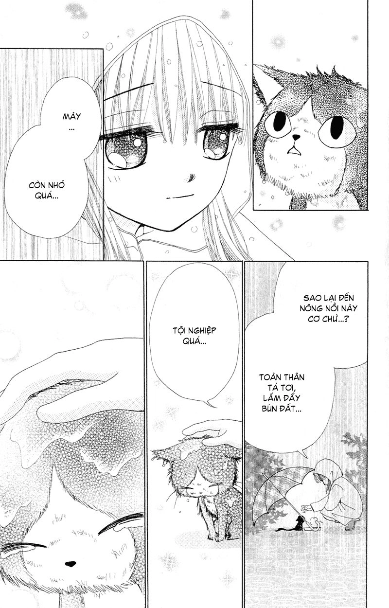 Dự Án Kéo Vàng Chapter 11 - 50