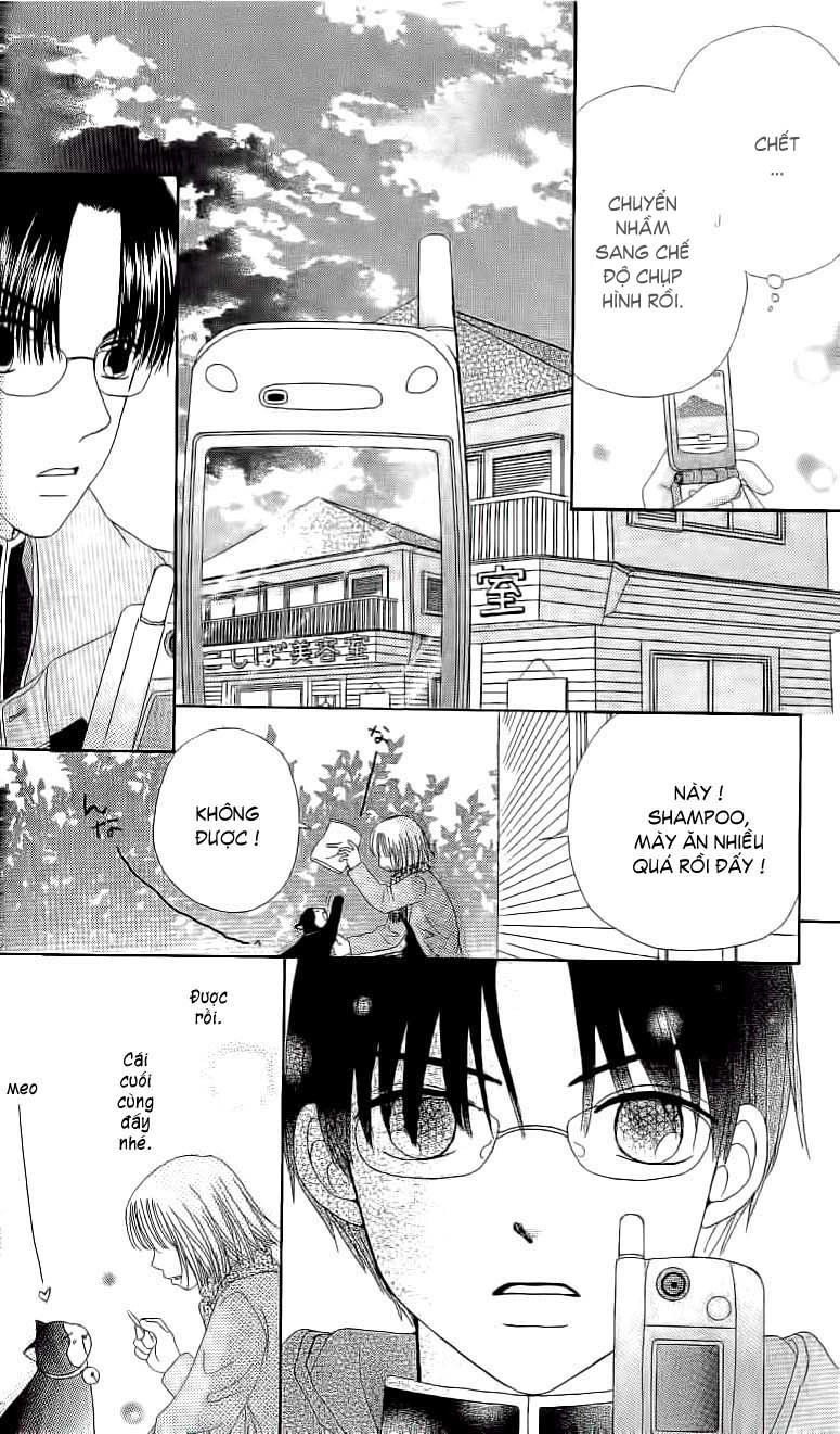 Dự Án Kéo Vàng Chapter 15 - 20