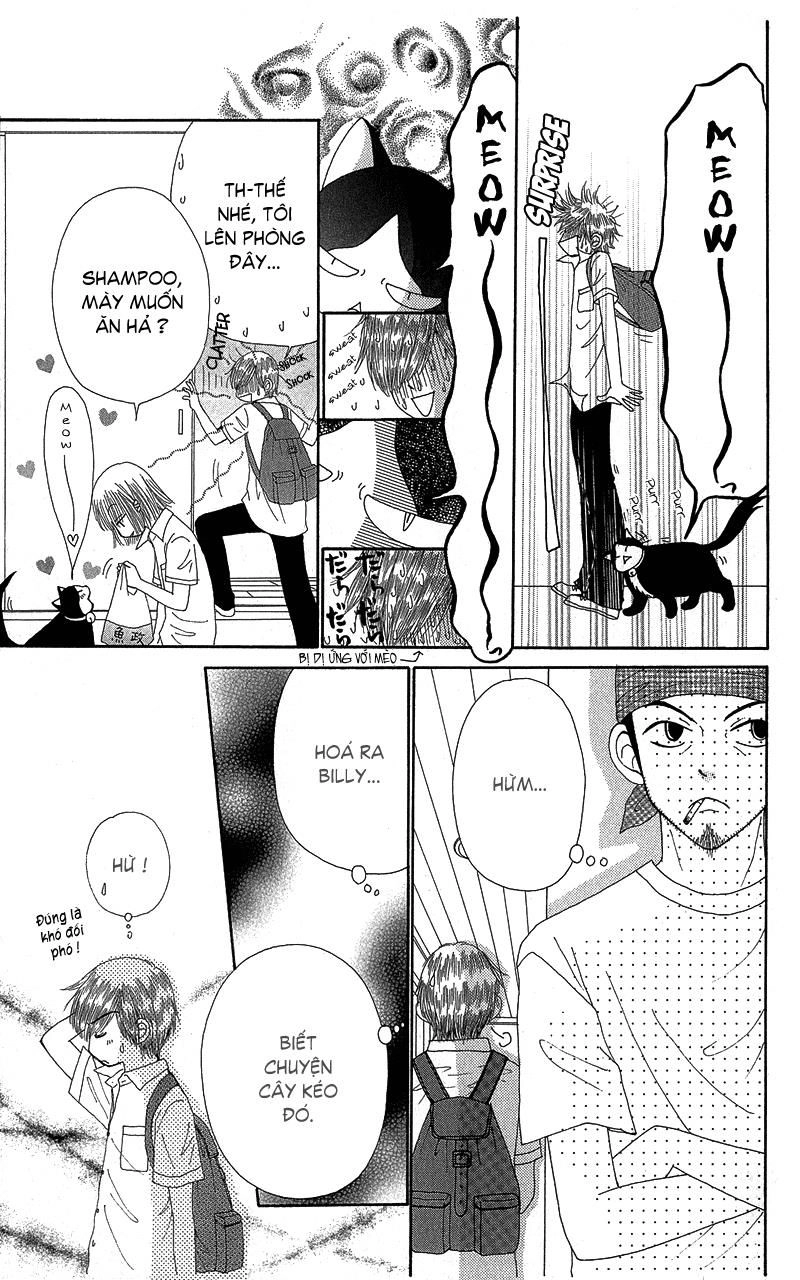 Dự Án Kéo Vàng Chapter 37 - 12