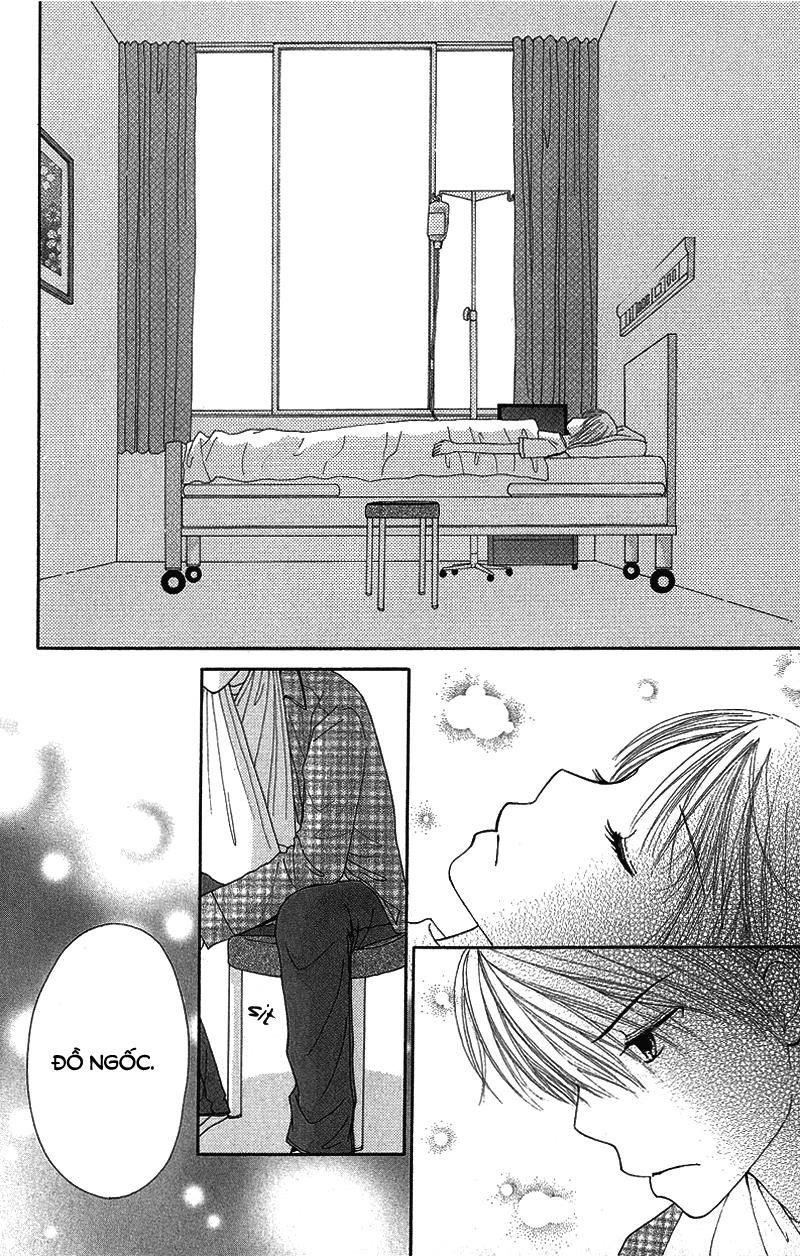 Dự Án Kéo Vàng Chapter 51 - 3