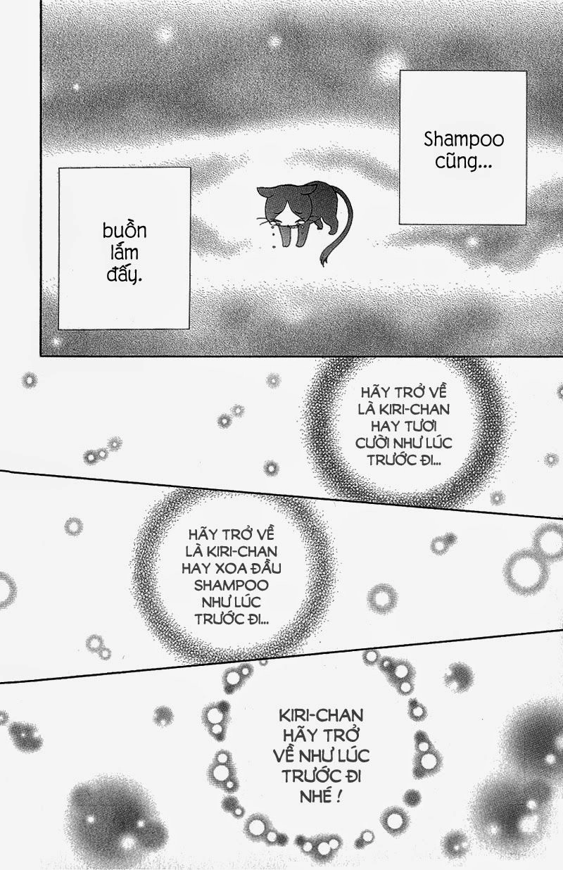 Dự Án Kéo Vàng Chapter 52 - 7