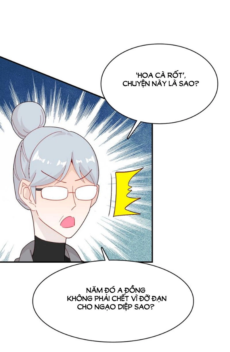 Ái Ngạo Kiều Long Vương Gia Chapter 46 - 29