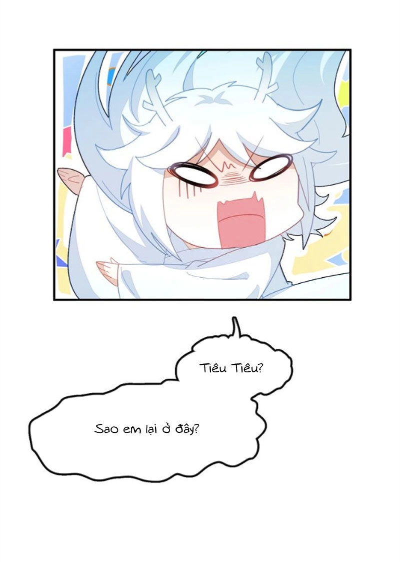 Ái Ngạo Kiều Long Vương Gia Chapter 49 - 46