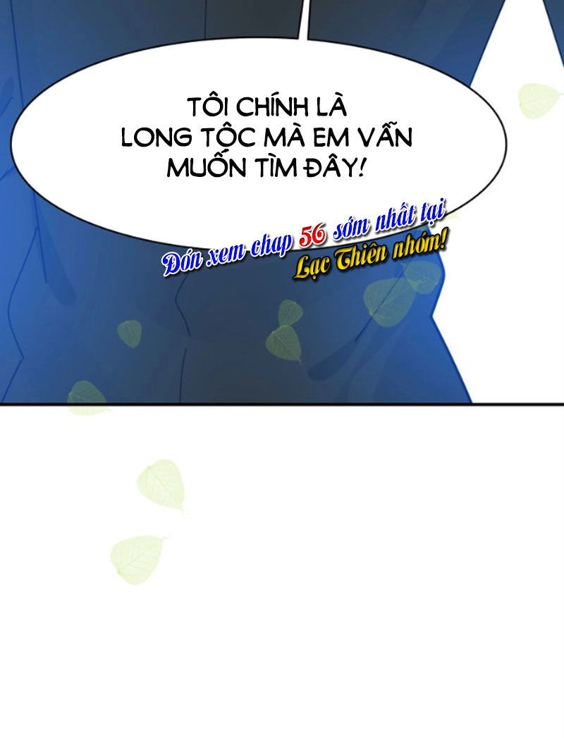 Ái Ngạo Kiều Long Vương Gia Chapter 55 - 47