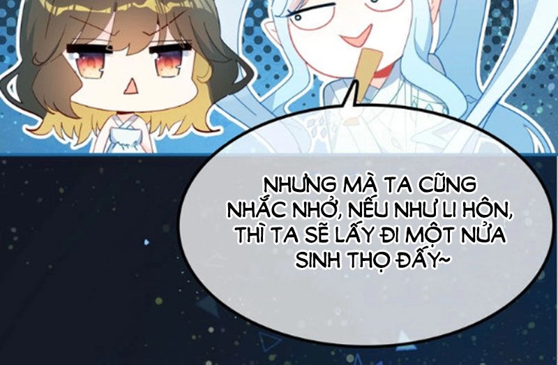 Ái Ngạo Kiều Long Vương Gia Chapter 57 - 41