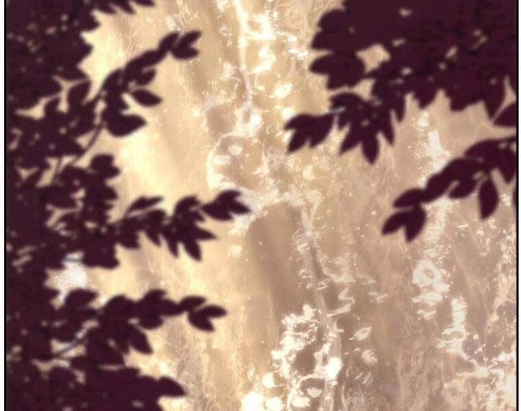 Tàn Tinh Tái Thế Chapter 34 - 172