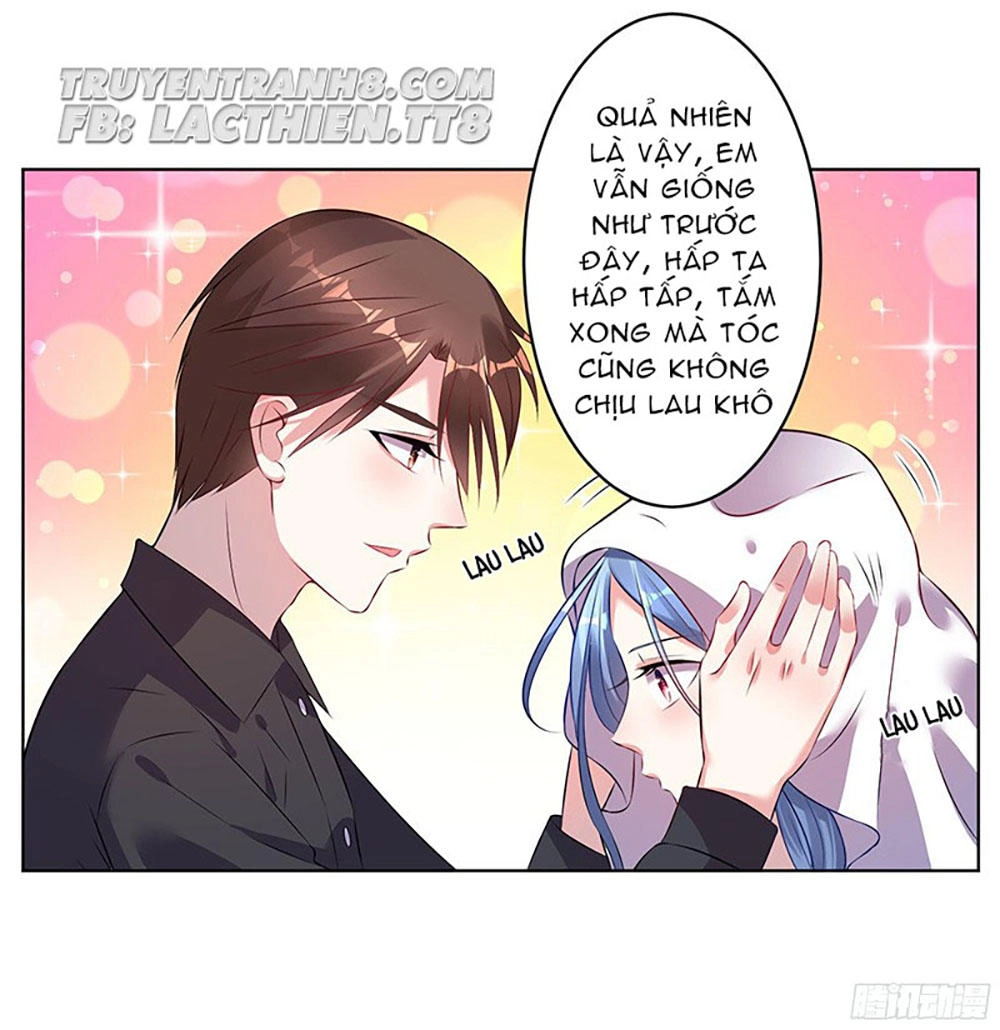 Tôi Bị Tổng Tài Ám Hại Chapter 66 - 13