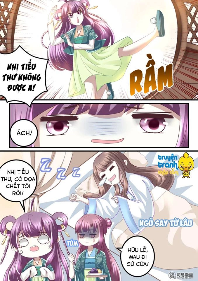 Nhị Tiểu Thư Không Dùng Được Chapter 36 - 3