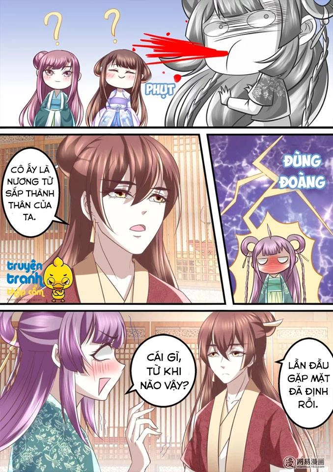 Nhị Tiểu Thư Không Dùng Được Chapter 36 - 7