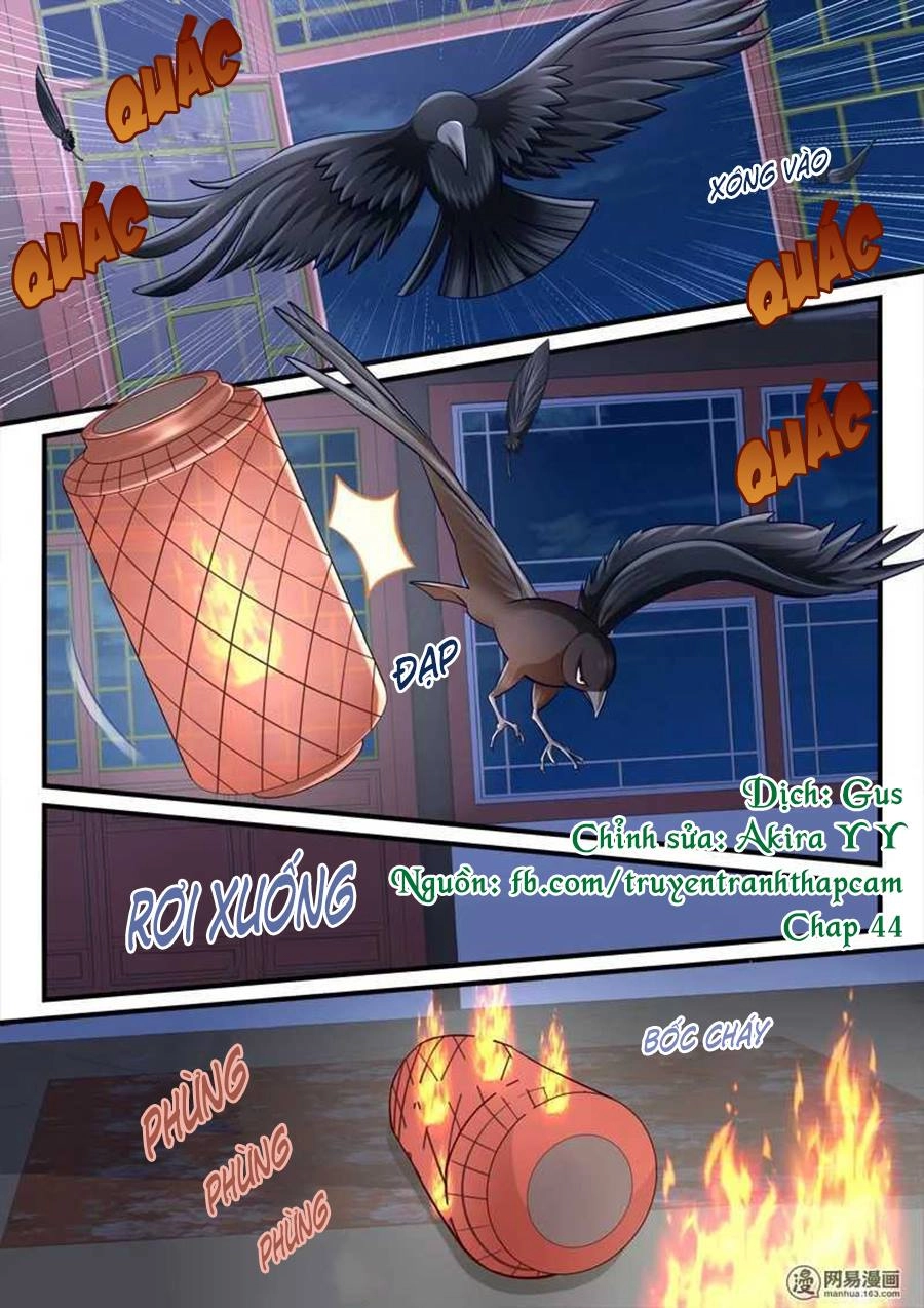 Nhị Tiểu Thư Không Dùng Được Chapter 44 - 1