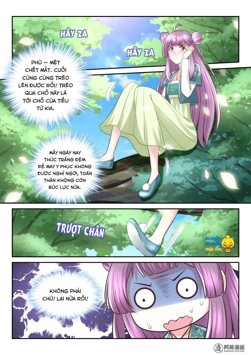 Nhị Tiểu Thư Không Dùng Được Chapter 62 - 5