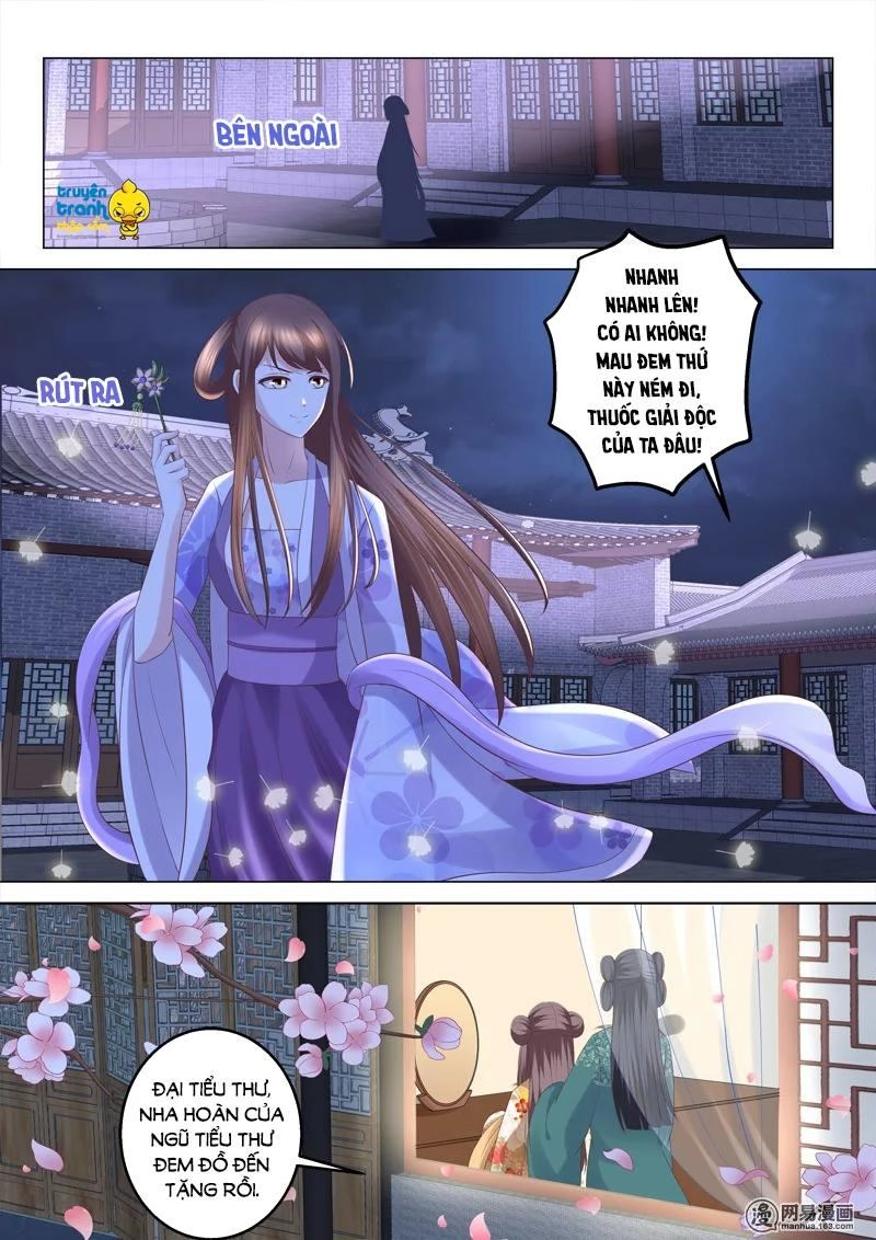 Nhị Tiểu Thư Không Dùng Được Chapter 68 - 3