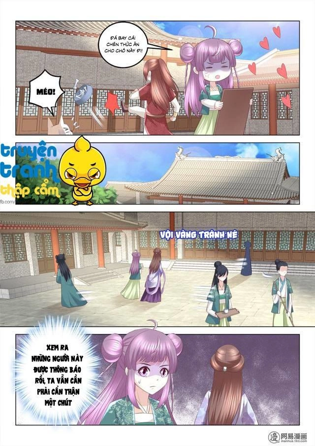 Nhị Tiểu Thư Không Dùng Được Chapter 73 - 6