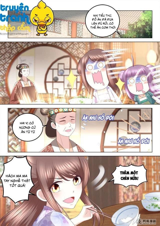 Nhị Tiểu Thư Không Dùng Được Chapter 73 - 7