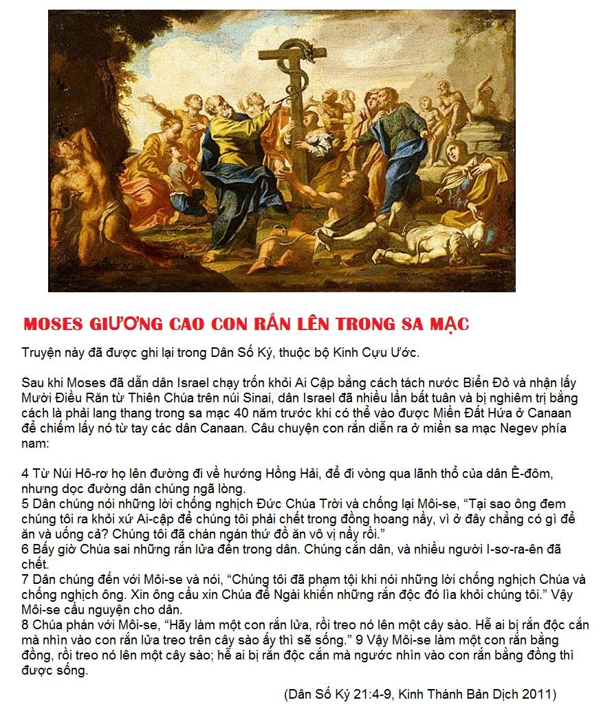 Thánh Kinh Truyện - Đấng Cứu Thế Chapter 6 - 13