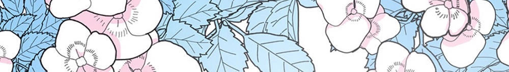 Em Đến Từ Nơi Đại Dương Vĩnh Hằng Chapter 16.5 - 47