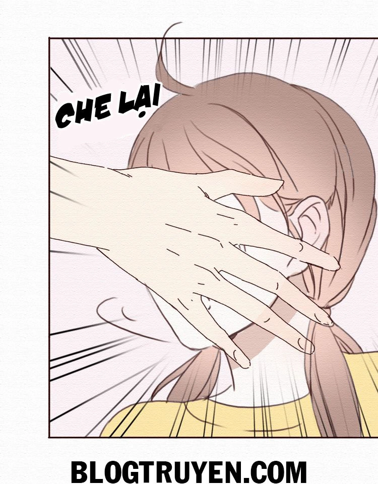 Tình Yêu Không Nói Dối Chapter 16 - 15