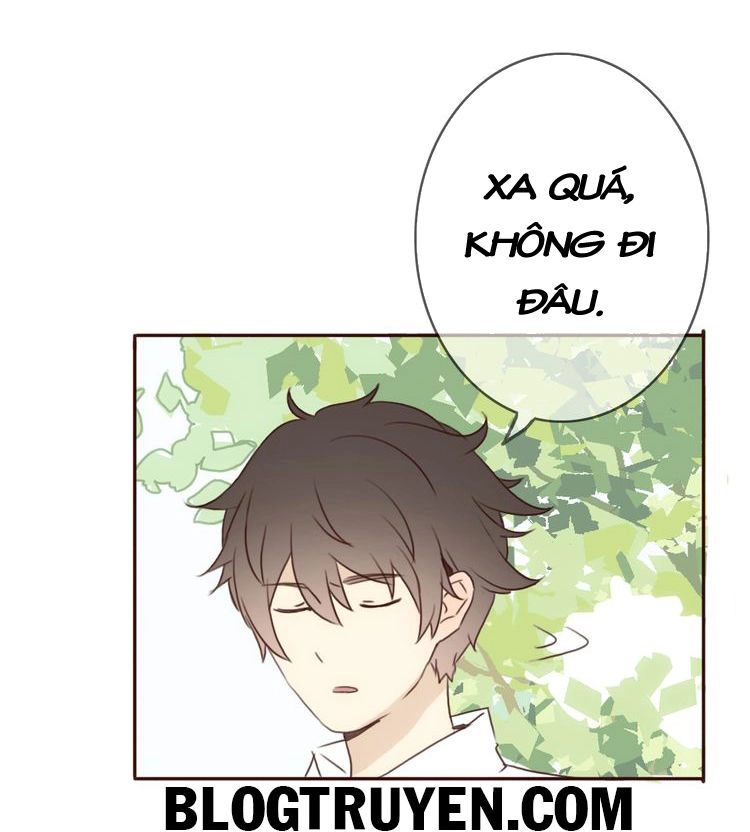 Tình Yêu Không Nói Dối Chapter 19 - 13