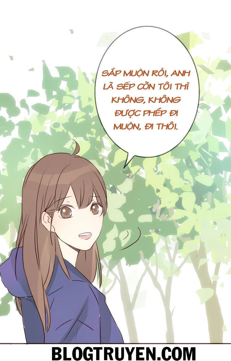 Tình Yêu Không Nói Dối Chapter 19 - 29