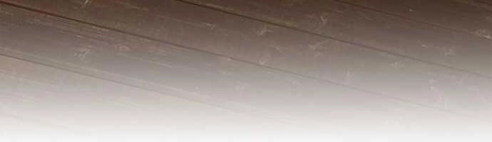 Nụ Hôn Nguyền Rủa Chapter 10 - 41