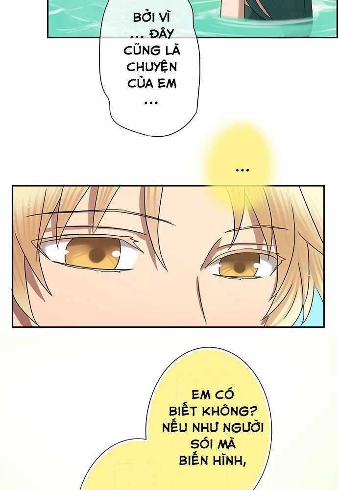 Nụ Hôn Nguyền Rủa Chapter 21 - 36