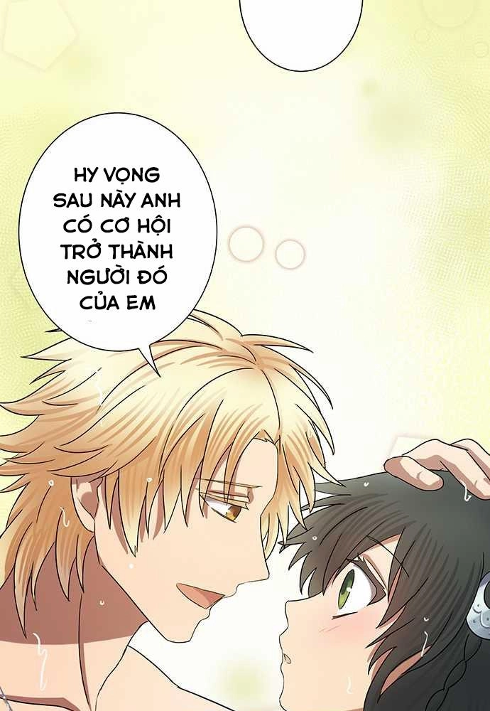 Nụ Hôn Nguyền Rủa Chapter 22 - 26