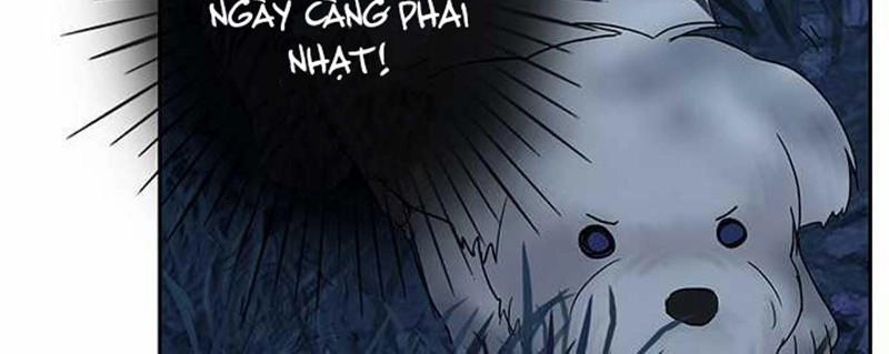 Nụ Hôn Nguyền Rủa Chapter 103 - 22