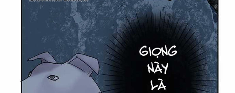 Nụ Hôn Nguyền Rủa Chapter 103 - 24