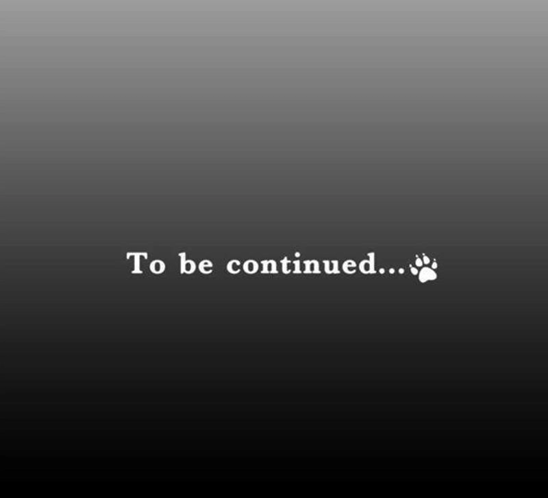 Nụ Hôn Nguyền Rủa Chapter 109 - 28