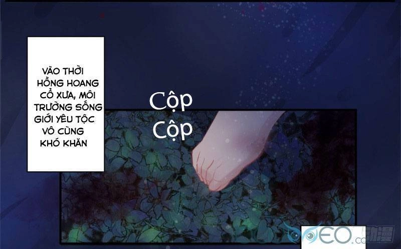 Tiểu Hồ Ly Hôm Nay Có Chút Ngoan Chapter 1 - 4