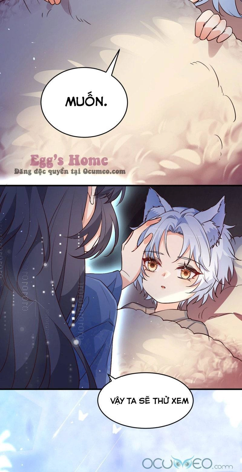 Tiểu Hồ Ly Hôm Nay Có Chút Ngoan Chapter 4 - 26