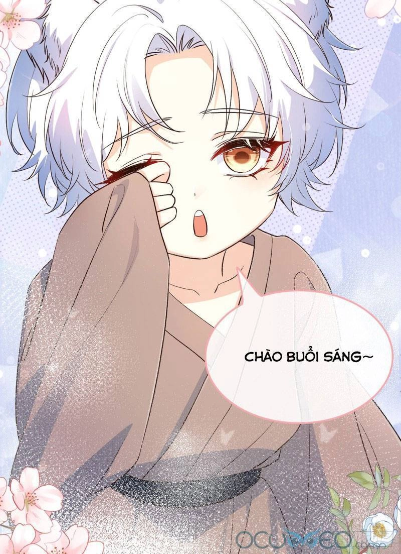 Tiểu Hồ Ly Hôm Nay Có Chút Ngoan Chapter 4 - 41