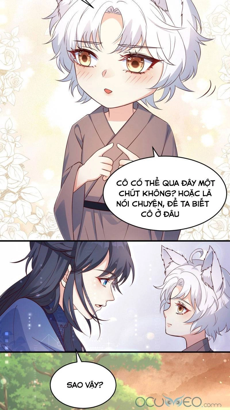 Tiểu Hồ Ly Hôm Nay Có Chút Ngoan Chapter 5 - 11